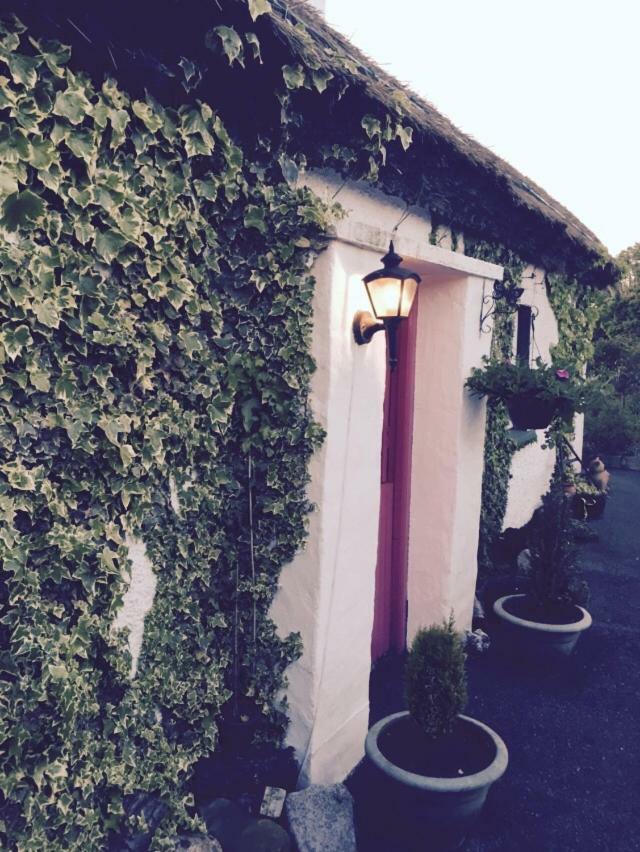 Teresas Cottage Donegal Town Ngoại thất bức ảnh